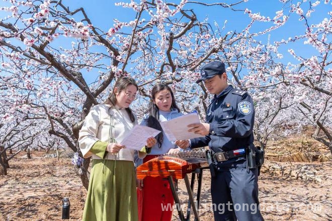 在杏花之约里，开启一场反诈之旅，杏花盛景中，反诈之声入耳来