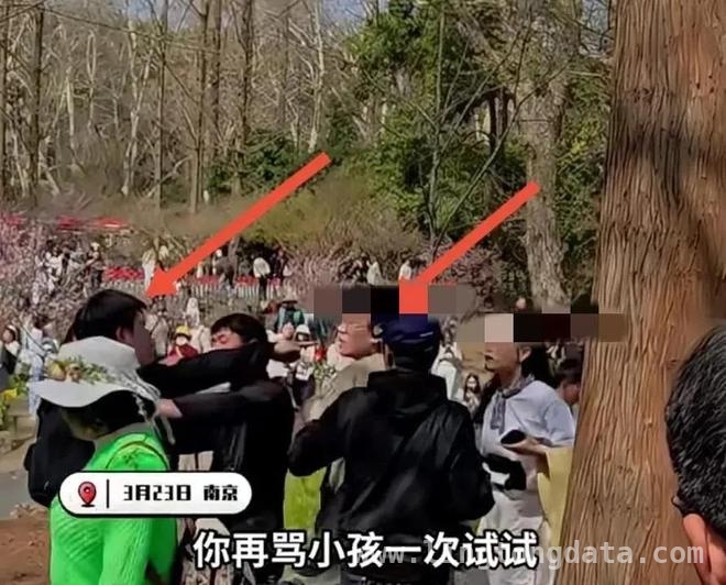 春日公园美景中，薅花闹剧惹众议，南京公园薅花风波，素质和提醒方式成焦点