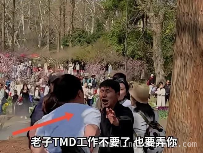 春日公园美景中，薅花闹剧惹众议，南京公园薅花风波，素质和提醒方式成焦点