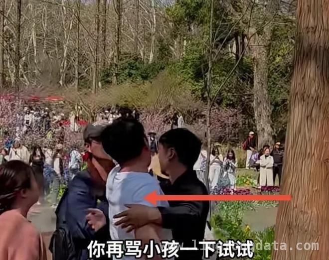 春日公园美景中，薅花闹剧惹众议，南京公园薅花风波，素质和提醒方式成焦点