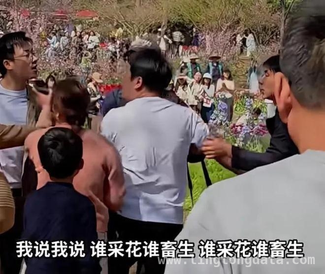 春日公园美景中，薅花闹剧惹众议，南京公园薅花风波，素质和提醒方式成焦点