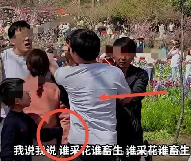 春日公园美景中，薅花闹剧惹众议，南京公园薅花风波，素质和提醒方式成焦点