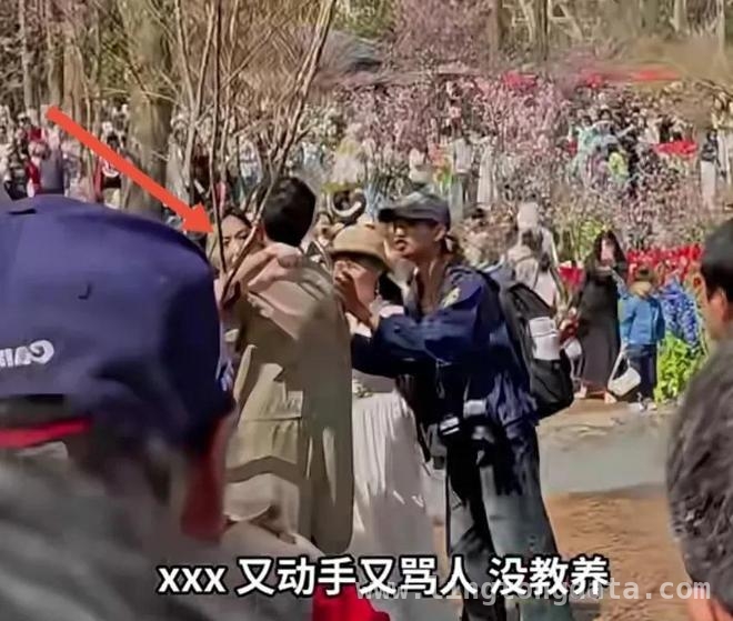 春日公园美景中，薅花闹剧惹众议，南京公园薅花风波，素质和提醒方式成焦点