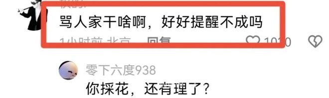 春日公园美景中，薅花闹剧惹众议，南京公园薅花风波，素质和提醒方式成焦点