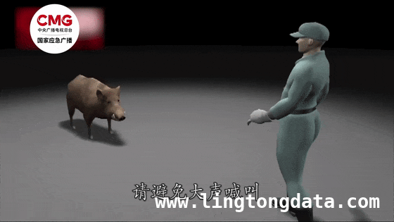 肉联厂惊现野猪，消防员巧施妙计将其敲晕制伏 “二师兄”突袭肉联厂，300斤野猪被成功拿下