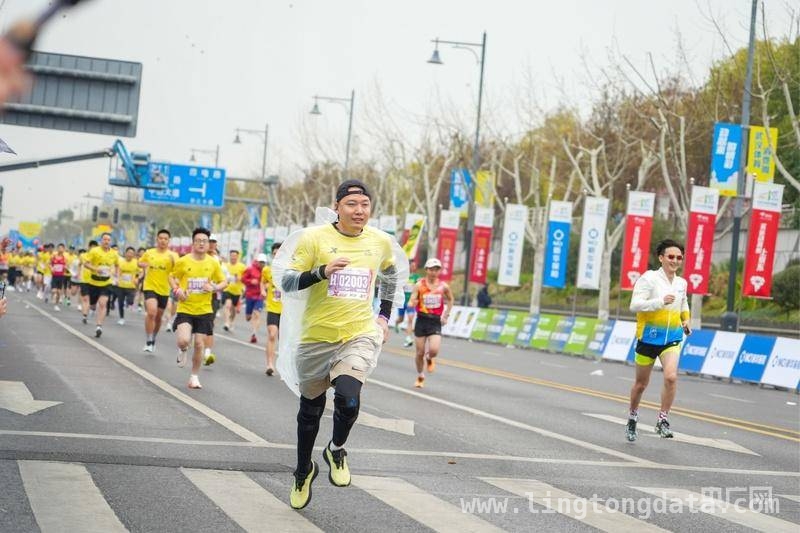 金标首秀，2025武汉马拉松燃爆春日江城，跑遍武汉美景，2025武汉马拉松精彩不断