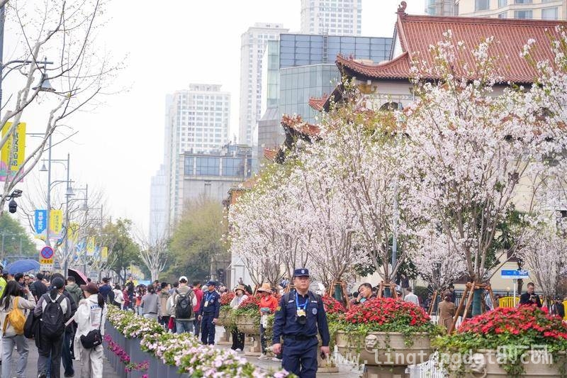金标首秀，2025武汉马拉松燃爆春日江城，跑遍武汉美景，2025武汉马拉松精彩不断