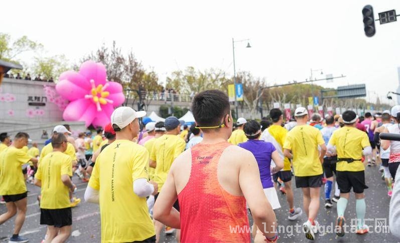金标首秀，2025武汉马拉松燃爆春日江城，跑遍武汉美景，2025武汉马拉松精彩不断