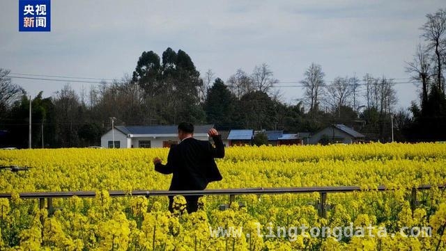 诚意舞蹈打动网友，秀水镇油菜花田成打卡新宠！，“顺拐”舞蹈出圈，秀水镇油菜花田旅游火啦！