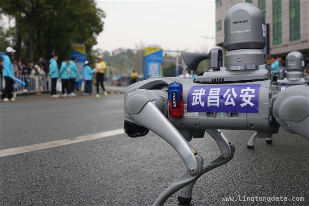 1. 2025汉马：武昌公安“警”彩护航，与跑者共赴春日之约 5. 2025汉马赛场：武昌公安藏蓝身影铸就最美风景