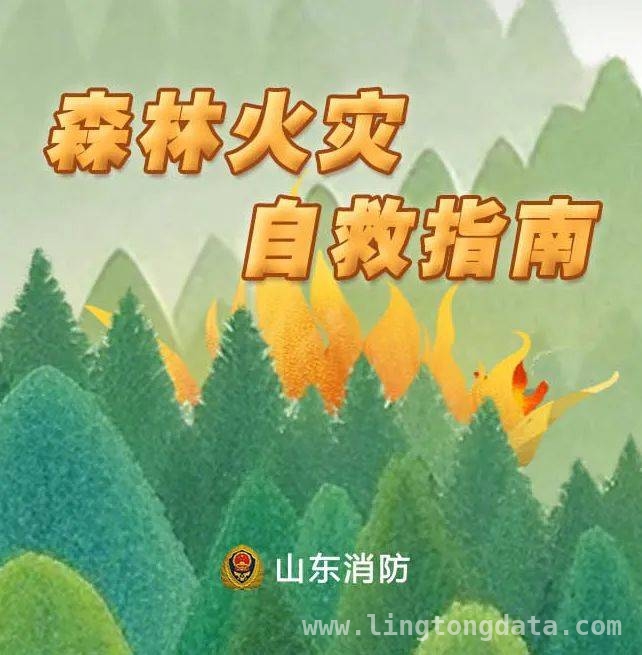 春季天干物燥森林易起火，西昌野外用火违规案例警示你我