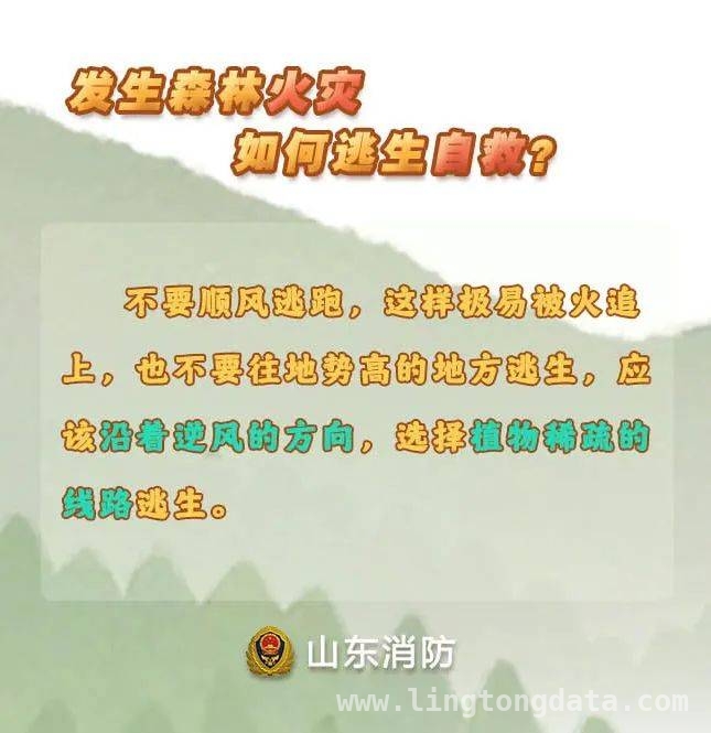 春季天干物燥森林易起火，西昌野外用火违规案例警示你我