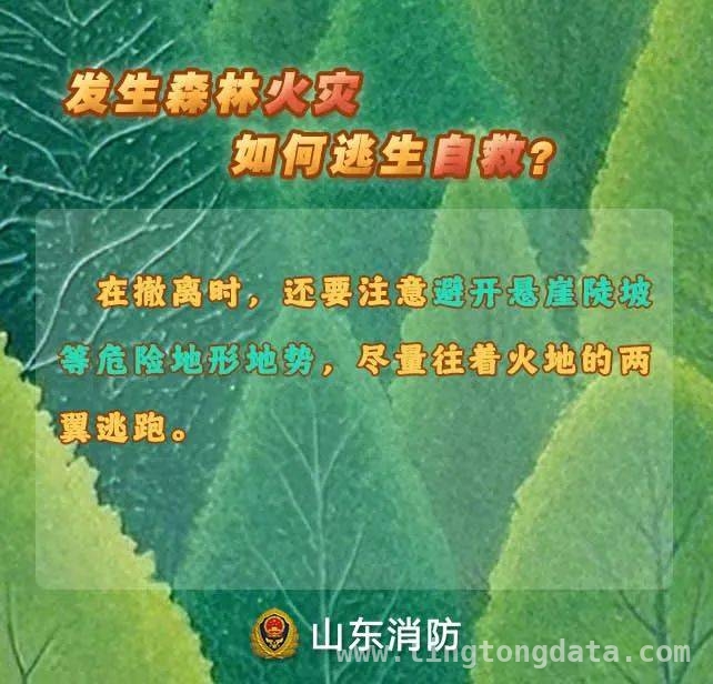 春季天干物燥森林易起火，西昌野外用火违规案例警示你我