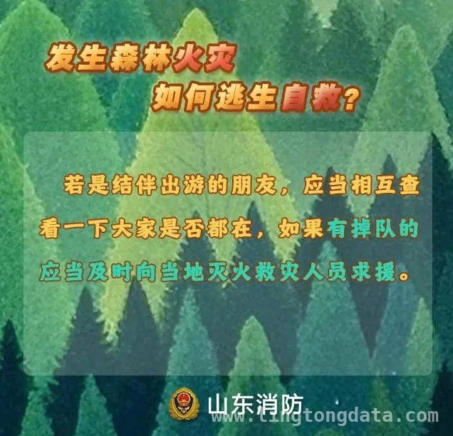 春季天干物燥森林易起火，西昌野外用火违规案例警示你我