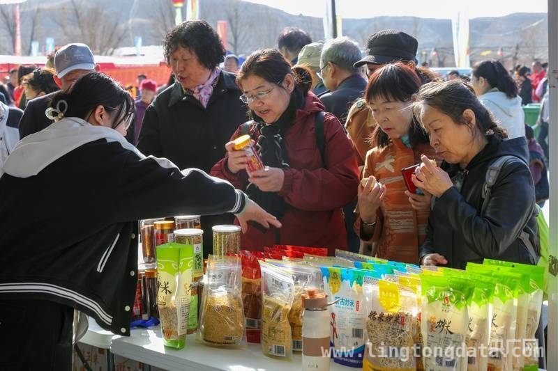 托克托第六届黄河开河活动：开启文旅经济新征程，“歌游内蒙古 河开托克托”，托克托黄河开河活动精彩启幕