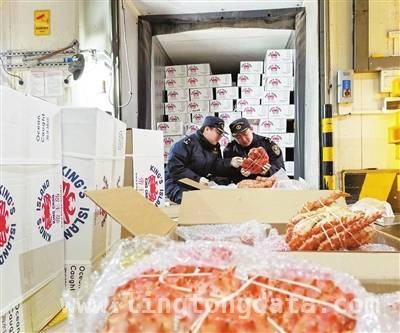东疆海关多举措提升通关效率，天津口岸冷链水产品进口增长