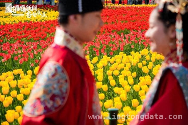新国风婚礼在静安绽放，“姻缘周”开启甜蜜消费热潮 静安区花朝节集体婚礼：生态与商圈共筑婚恋经济新篇