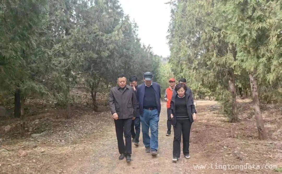 房山多举措筑牢清明森林防火防线，房山多部门联动 为清明森林防火保驾护航