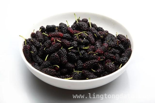 春季养生必知：桑葚的神奇功效大揭秘，桑葚虽好，这些禁忌你不可不知！