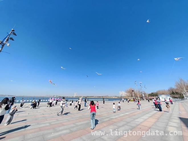 河口区实验幼儿园春归风筝节：亲子共绘春日美好