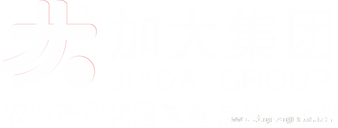 养猪用加大饲料，方老板带乡亲驶入发财快车道