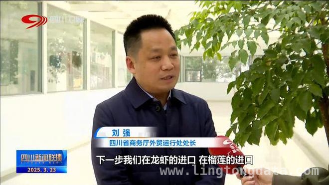 从三文鱼“空中飞”到农产品“出圈”，四川商贸新景象