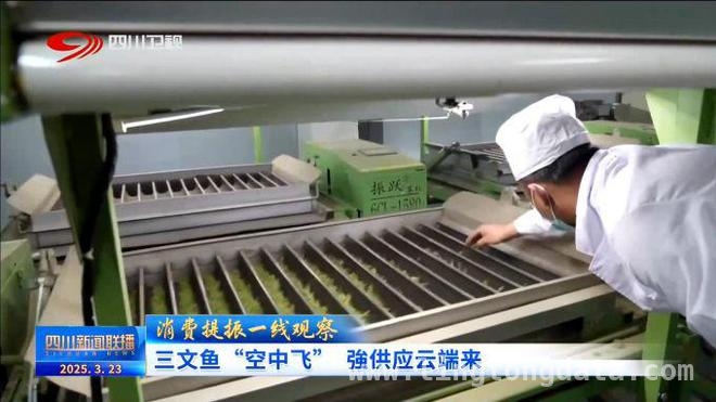 从三文鱼“空中飞”到农产品“出圈”，四川商贸新景象
