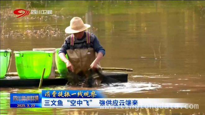 从三文鱼“空中飞”到农产品“出圈”，四川商贸新景象