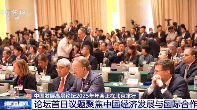 中国发展高层论坛2025年会：跨国企业代表云集，聚焦AI与消费，2025中国发展高层论坛：创新交流促合作，多领域亮点纷呈