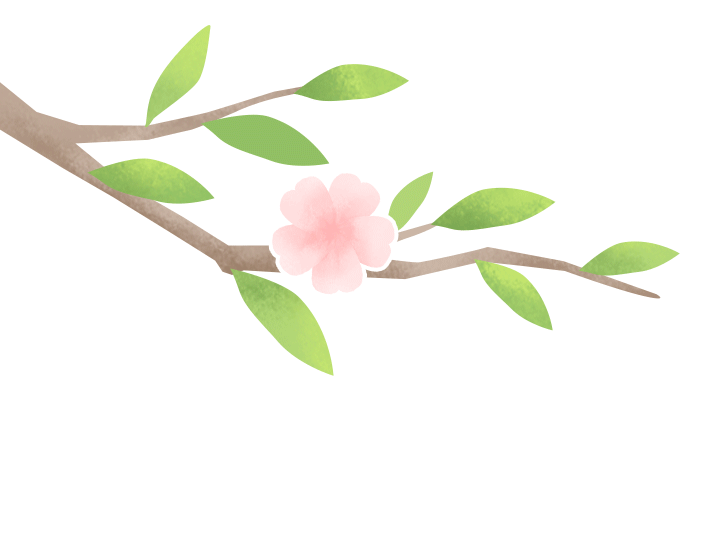 5. 赵巷春日舌尖浪漫：花卉入馔与多元美食体验，1. 赵巷春日美食之旅：花卉、轻食与粤味的盛宴