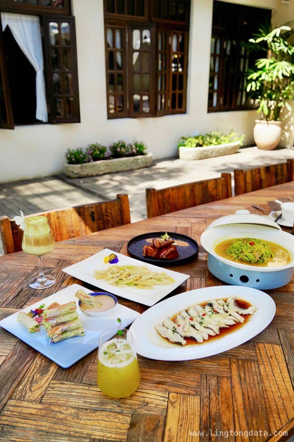 5. 赵巷春日舌尖浪漫：花卉入馔与多元美食体验，1. 赵巷春日美食之旅：花卉、轻食与粤味的盛宴