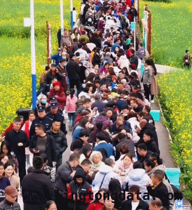 春日出游正当时，快来看看去哪儿！，寻春之旅：解锁春日游玩新去处
