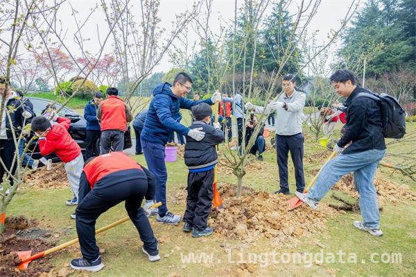 长安汽车植树造林，助力野生动植物栖息家园建设