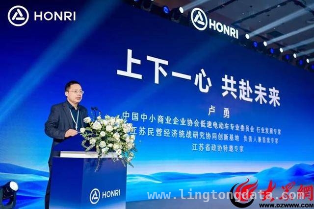 鸿日汽车2025战略布局，以创新驱动微电行业变革，鸿日汽车峰会开启数智新征程，引领微电行业高质量发展