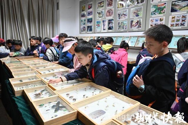 春日研学：南京小学生探秘南农，播下“强农”种子