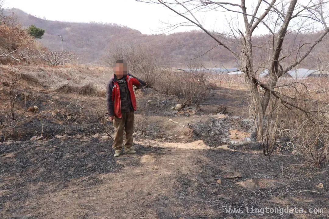 春季森林火灾频发，小小烟头引发大灾难！ 小小烟头惹大祸，森林防火要牢记