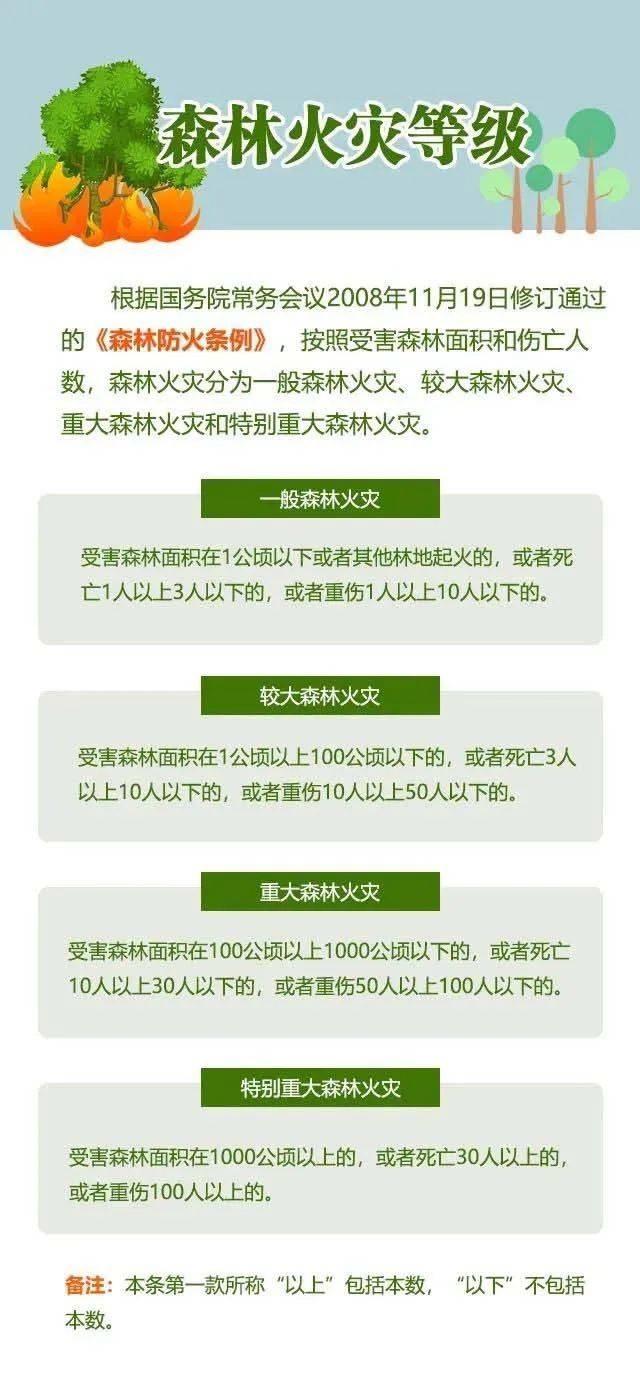 春季森林火灾频发，小小烟头引发大灾难！ 小小烟头惹大祸，森林防火要牢记