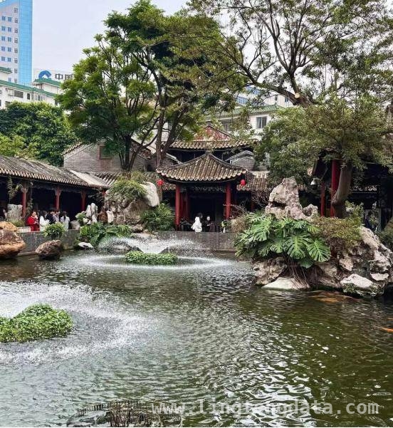 许绍雄携妻游祖业，显赫背景下的豁达生活，老戏骨许绍雄：显赫家世与豁达人生