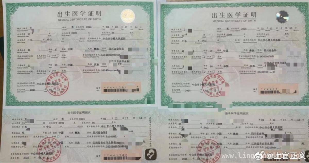 中山医院惊现17岁女孩代孕双胞胎，官方介入 17岁女孩卷入代孕风波，多部门行动调查