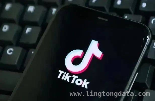 海宁拉面店主轻信“TikTok开店”，反诈力量挽损失，海宁拉面店老板遇“TikTok开店”骗局，幸被及时劝阻