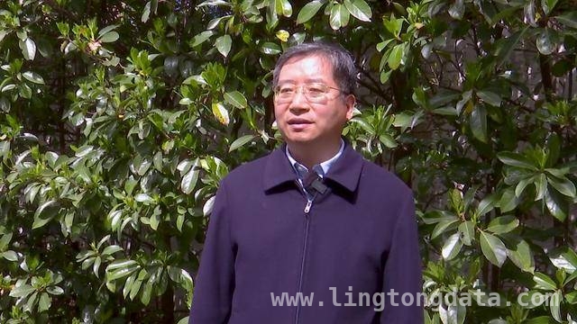 河南小麦拔节期，管理要点大揭秘！