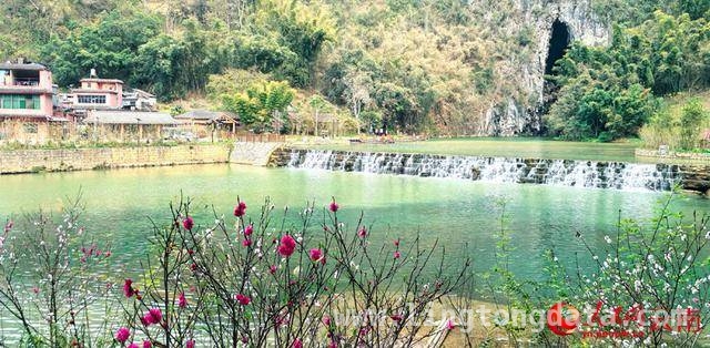 坝美世外桃源：春日里的踏青热门打卡地，沉浸式体验！坝美“桃花源”春日旅游热潮