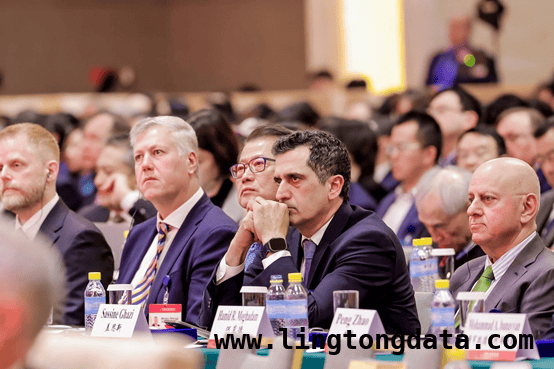 中国发展高层论坛2025：外企高管眼中“投资中国”新机遇