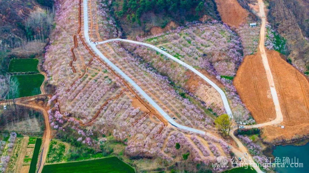 确山任店镇：桃花与油菜花交织的春日绮梦 阳春三月，确山任店镇桃花盛景等你赴约