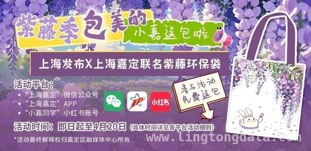 马陆镇李家村道路改造，村民出行迎来全新便利！，李家村道路改造：通行更顺畅，生活更美好！