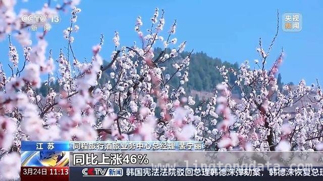 清明旅游市场大揭秘：短途游、赏花游、文化体验一个都不少