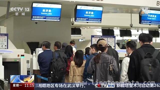 清明旅游市场大揭秘：短途游、赏花游、文化体验一个都不少