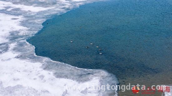 春日序曲：青海湖开湖之美，唤醒春日诗意，看青海湖破冰盛景