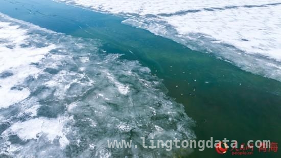 春日序曲：青海湖开湖之美，唤醒春日诗意，看青海湖破冰盛景
