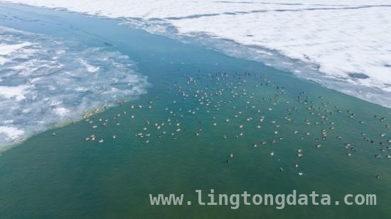 春日序曲：青海湖开湖之美，唤醒春日诗意，看青海湖破冰盛景